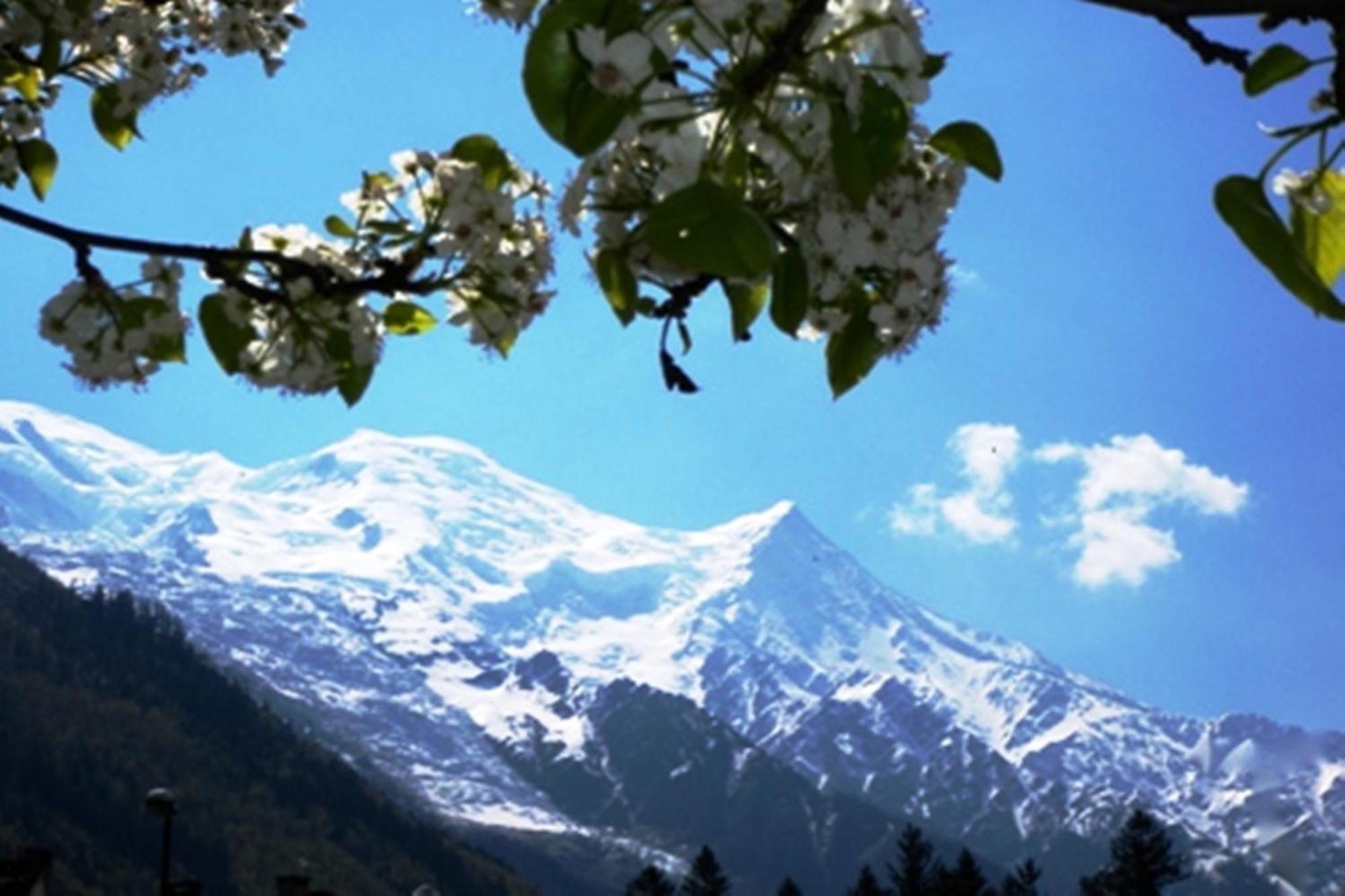 Residence Grands Montets 133 Ski In-Ski Out - Happy Rentals Chamonix Ngoại thất bức ảnh